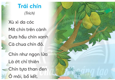 Giải Tiếng Việt lớp 2 Tập 2 Bài 3: Trái chín – Chân trời sáng tạo (ảnh 1)