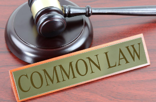 Common Law là gì? Sự khác nhau giữa Common Law & Civil Law (ảnh 1)