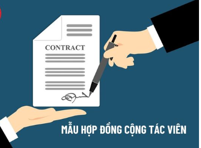 Mẫu hợp đồng cộng tác viên mới nhất năm 2024 (ảnh 1)