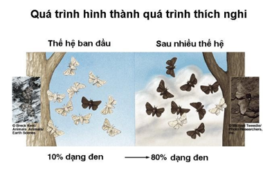 Tài liệu VietJack