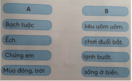 Giải Tiếng Việt lớp 1 (Dành cho buổi học thứ hai) Tập 1 Tiết 1: uôi uôm uôc uôt – Kết nối tri thức (ảnh 1)