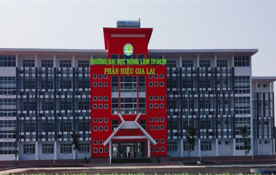 Phân hiệu Đại học Nông lâm TP HCM tại Gia Lai (ảnh 1)