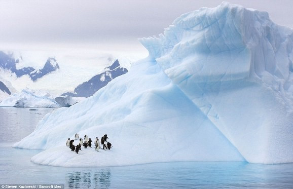 Giáo án Địa lí 7 Bài 22 (Cánh diều 2023): Châu Nam Cực (ảnh 1)