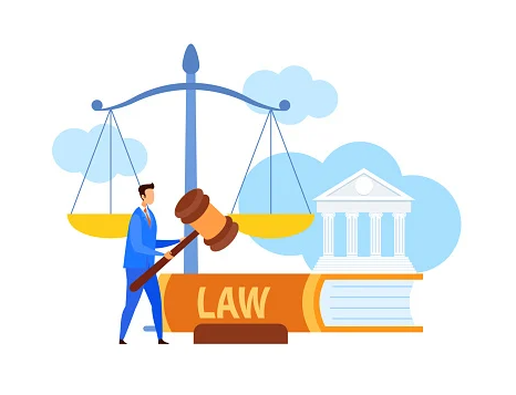 Pháp luật là gì? Vai trò của pháp luật thế nào? Các nguyên tắc cơ bản của pháp luật (ảnh 1)