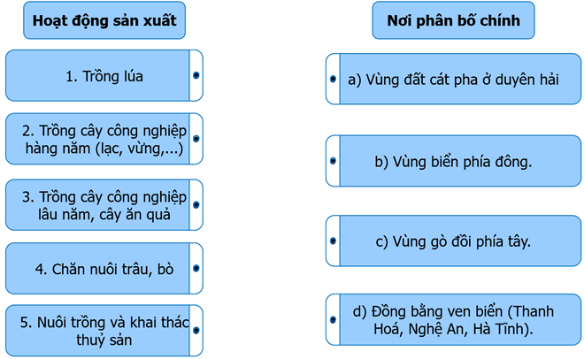 Sách bài tập Địa lí 9 Bài 14 (Kết nối tri thức): Bắc Trung Bộ (ảnh 1)