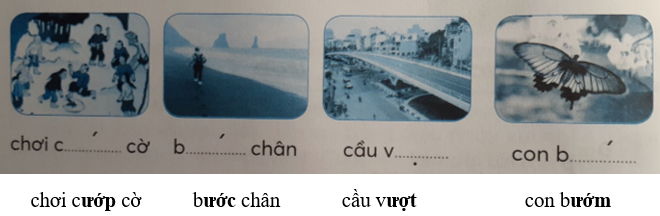 Giải Tiếng Việt lớp 1 (Dành cho buổi học thứ hai) Tập 1 Tiết 1: ươc ươt ươm ươp – Kết nối tri thức (ảnh 1)