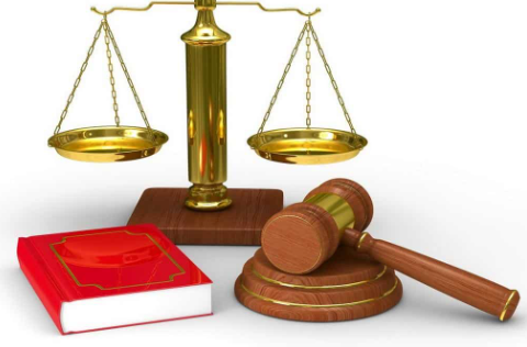 Chế định pháp luật là gì? Đặc điểm của chế định pháp luật?  (ảnh 1)