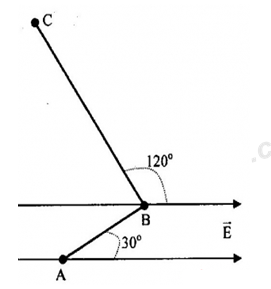 Một lò xo treo thẳng đứng có chiều dài tự nhiên 20 cm. Khi treo các vật có khối lượng m (ảnh 1)