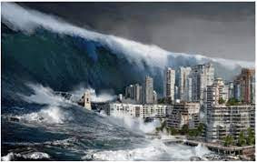 TOP 10 mẫu Tóm tắt Bạn đã biết gì về sóng thần (2023) hay, ngắn gọn - Chân trời sáng tạo (ảnh 1)
