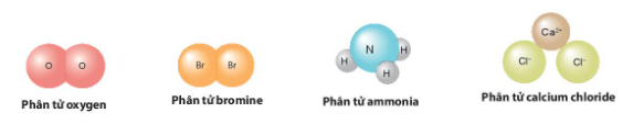 Giáo án KHTN 7 Bài 5 (Chân trời sáng tạo 2023): Phân tử - đơn chất – hợp chất | Khoa học tự nhiên 7 (ảnh 1)