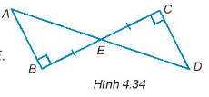 Sách bài tập Toán 7 Bài 15: Các trường hợp bằng nhau của tam giác vuông - Kết nối tri thức (ảnh 1)