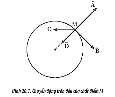 Sách bài tập Vật lí 10 Bài 20: Động học của chuyển động tròn - Chân trời sáng tạo (ảnh 1)