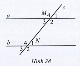 Sách bài tập Toán 7 Bài 3: Hai đường thẳng song song - Cánh diều (ảnh 1)