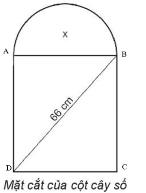 Sách bài tập Toán 10 Bài 18: Phương trình quy về phương trình bậc hai - Kết nối tri thức (ảnh 1)