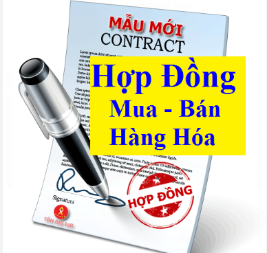 Mẫu hợp đồng mua bán hàng hóa quốc tế mới nhất năm 2024 (ảnh 1)