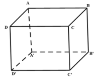Cho hình lăng trụ ABCD.A'B'C'D'. Hình chiếu vuông góc của A' lên (ABC) (ảnh 1)