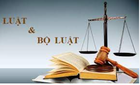 Bộ luật là gì? Tìm hiểu một số vấn đề về Bộ luật ở Việt Nam? (ảnh 1)