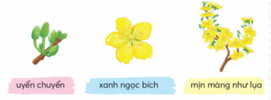 Giải Tiếng Việt lớp 2 Tập 2 Bài 4: Hoa mai vàng – Chân trời sáng tạo (ảnh 1)