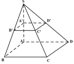 Cho hình chóp S.ABCD. Gọi A', B', C', D' lần lượt là trung điểm của các cạnh (ảnh 1)