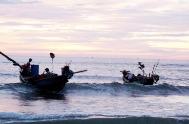 TOP 3 mẫu Viết đơn đề nghị ngăn chặn d&ugrave;ng thuốc nổ đ&aacute;nh bắt c&aacute; (2025) SI&Ecirc;U HAY (ảnh 1)