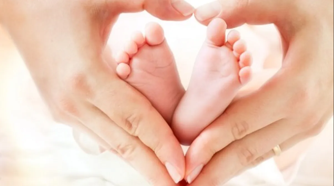Chế độ thai sản mới nhất năm 2024: Quyền lợi cần biết khi sinh con (ảnh 3)