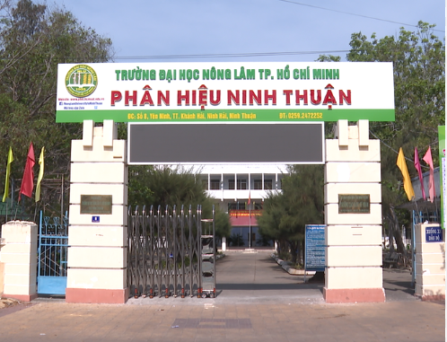 Phân hiệu Đại học Nông Lâm TP HCM tại Ninh Thuận (ảnh 1)
