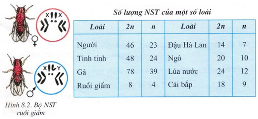 Tài liệu VietJack