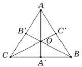 Cho tam giác đều ABC có tâm O và các đường cao AA', BB', CC' (ảnh 1)