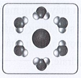 Sách bài tập Sinh học 10 Chủ đề 4: Thành phần hóa học của tế bào - Cánh diều (ảnh 1)