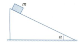 Vật khối lượng m đặt trên mặt phẳng nghiêng hợp với phương nằm ngang một góc alpha (hình vẽ) (ảnh 1)