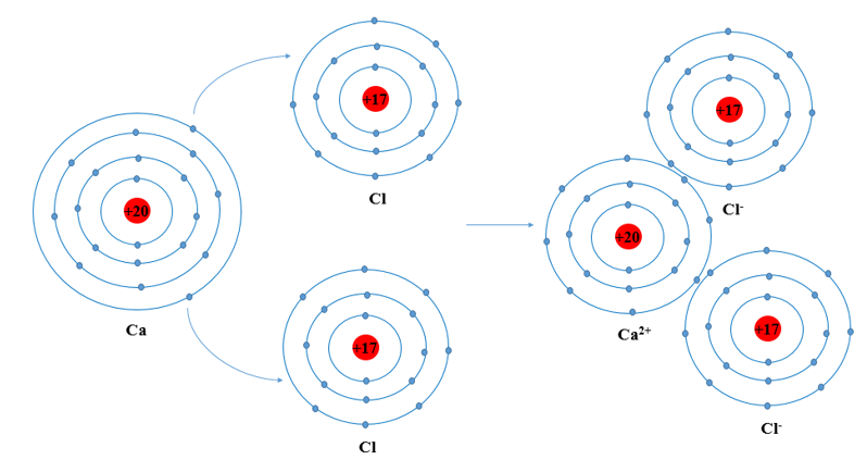Giải thích sự hình thành phân tử CaCl2 và vẽ sơ đồ cho nhận electron (ảnh 1)