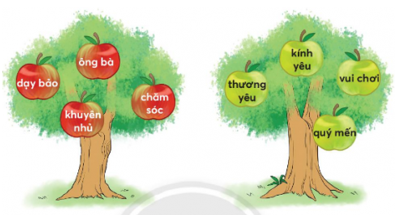 Giải Tiếng Việt lớp 2 Tập 1 Bài 3: Bà nội, bà ngoại – Chân trời sáng tạo (ảnh 1)