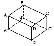 Hãy kể tên các mặt, các đỉnh và các cạnh của hình hộp chữ nhật (ảnh 1)