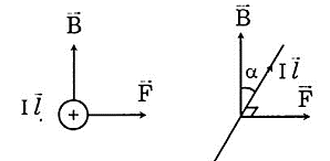 Phần tử dòng điện  (ảnh 1)