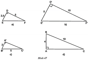 Hãy chỉ ra các cặp tam giác đồng dạng trong hình 47 (ảnh 1)