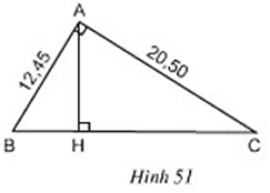 Trong hình vẽ có bao nhiêu cặp tam giác đồng dạng với nhau (ảnh 1)