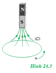 Xác định chiều của suất điện động cảm ứng xuất hiện trong mạch kín (C) trên hình 24.3 khi nam châm (ảnh 1)