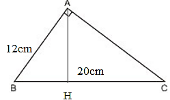 Tính độ dài hình chiếu cạnh góc vuông kia trên cạnh huyền (ảnh 1)