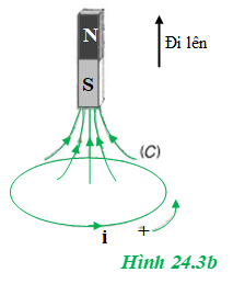 Xác định chiều của suất điện động cảm ứng xuất hiện trong mạch kín (C) trên hình 24.3 khi nam châm (ảnh 1)