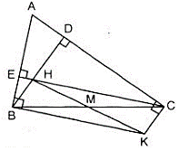 Tam giác ABC có các đường cao BD, CE cắt nhau tại H (ảnh 1)