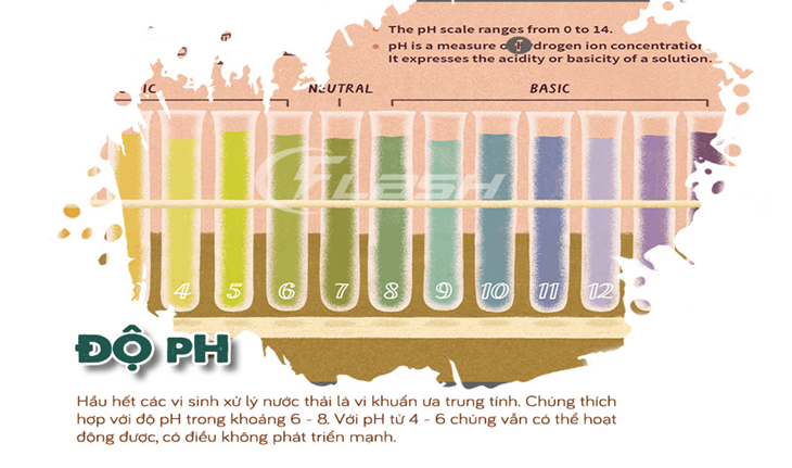 Nói chung, độ pH phù hợp nhất cho sự sinh trưởng của vi sinh vật như sau (ảnh 1)