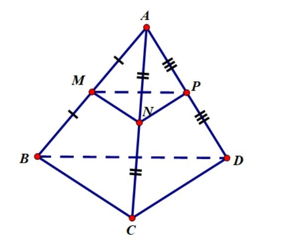 Các đường thẳng MN, NP, PM có song song với mặt phẳng (BCD) không (ảnh 1)