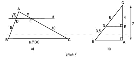 Tính các độ dài x và y trong hình 5 (ảnh 1)