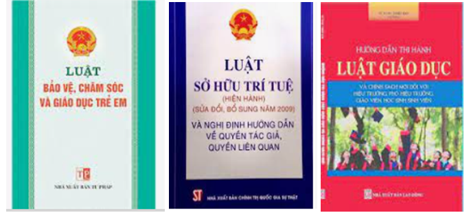 Bằng kiến thức đã học và qua những hiểu biết của mình (ảnh 1)