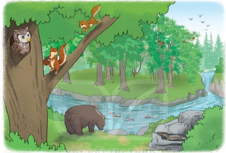 Bài 8: Bầy voi rừng Trường Sơn Tiếng Việt lớp 3 Tập 2 – Kết nối tri thức (ảnh 1)