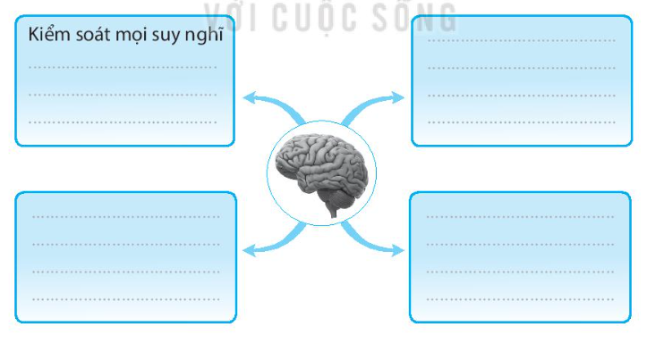 Vở bài tập Tự nhiên và xã hội lớp 3 trang 57, 58 Bài 22: Cơ quan thần kinh - Kết nối tri thức (ảnh 1)