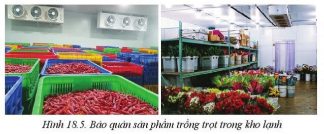 Giải Công nghệ 10 Bài 18: Ứng dụng công nghệ cao trong thu hoạch, bảo quản và chế biến sản phẩm trồng trọt - Cánh diều (ảnh 1)