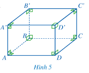 Toán 7 Bài 1: Hình hộp chữ nhật. Hình lập phương - Cánh diều (ảnh 1)
