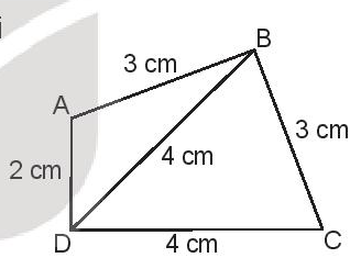 Toán lớp 3 trang 121, 122 Bài 79: Ôn tập hình học và đo lường - Kết nối tri thức (ảnh 1)