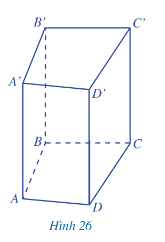 Toán 7 Bài 2: Hình lăng trụ đứng tam giác. Hình lăng trụ đứng tứ giác - Cánh diều (ảnh 1)